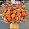 shop hoa Quận Ninh Kiều Cần Thơ