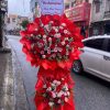 Hoa Khai Trương - Kt67
