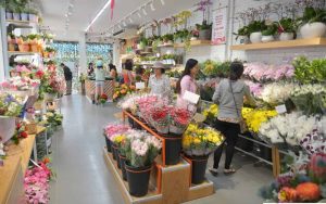 Shop Hoa Thành Phố Đà Nẵng