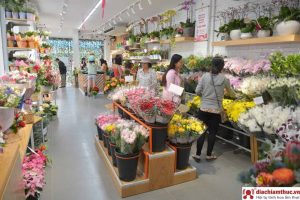 Shop hoa tươi Bắc Từ Liêm Hà Nội